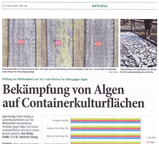 MENNO TER forte Algizid - gegen Algen auf Containerflächen
